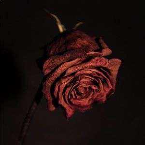 Meet your Posher, Shelan